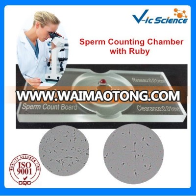 Clinical Medicine Sperm Counting Chamber with Ruby