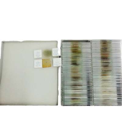 Hot Sale 100pcs Mineral Thin Section Prepared Slides