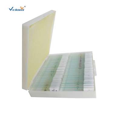 Hot Sale Medical Parasitology Microscope Prepared Slides