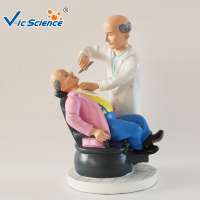 Hot Popular  Cartoon Couple Sculpture Dental  Model Teeth