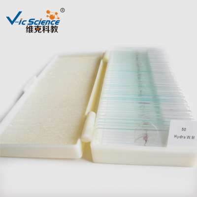 High quality microscope prepared slides 50 pcs set