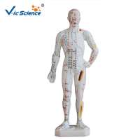 High Quality 26cm Human Acupuncture Model