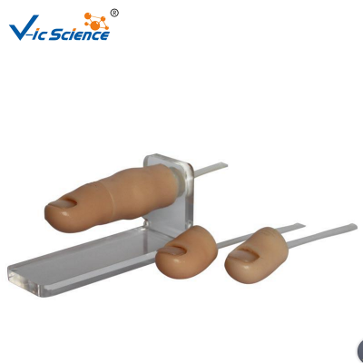 Ingrowing Toenail Trainer Model