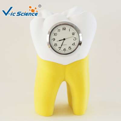 Hot Popular  Dental Teeth Model Clock Cartoon Sculpture