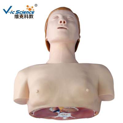 Hot Sale Basic CPR Training Model (Half Body)