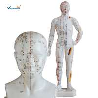 Mini 26cm Human Chinese Teaching Acupuncture Point Model with Acupoints